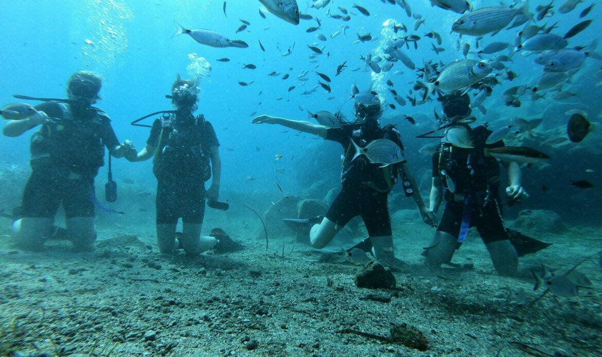 Scuba diving in Thassos